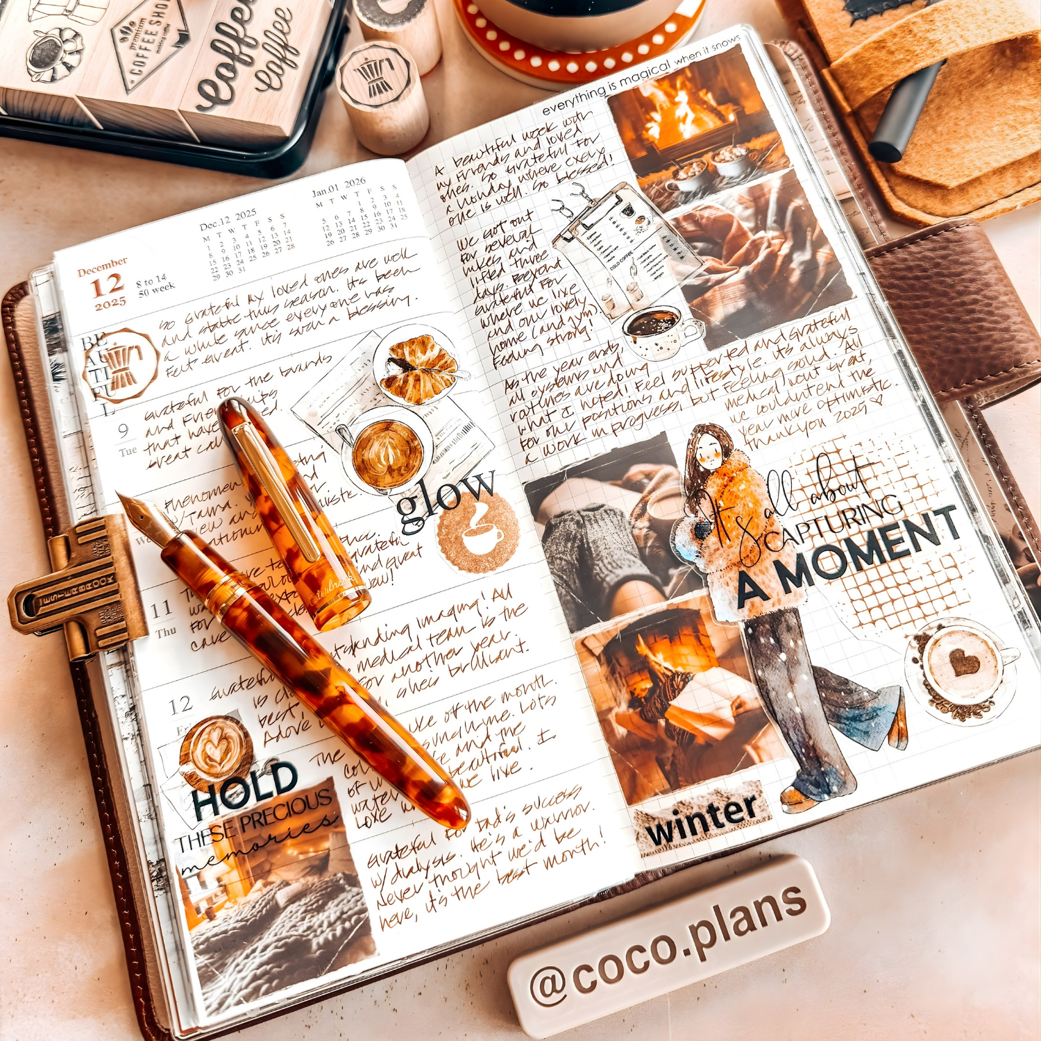 Amber Tortoise Estie