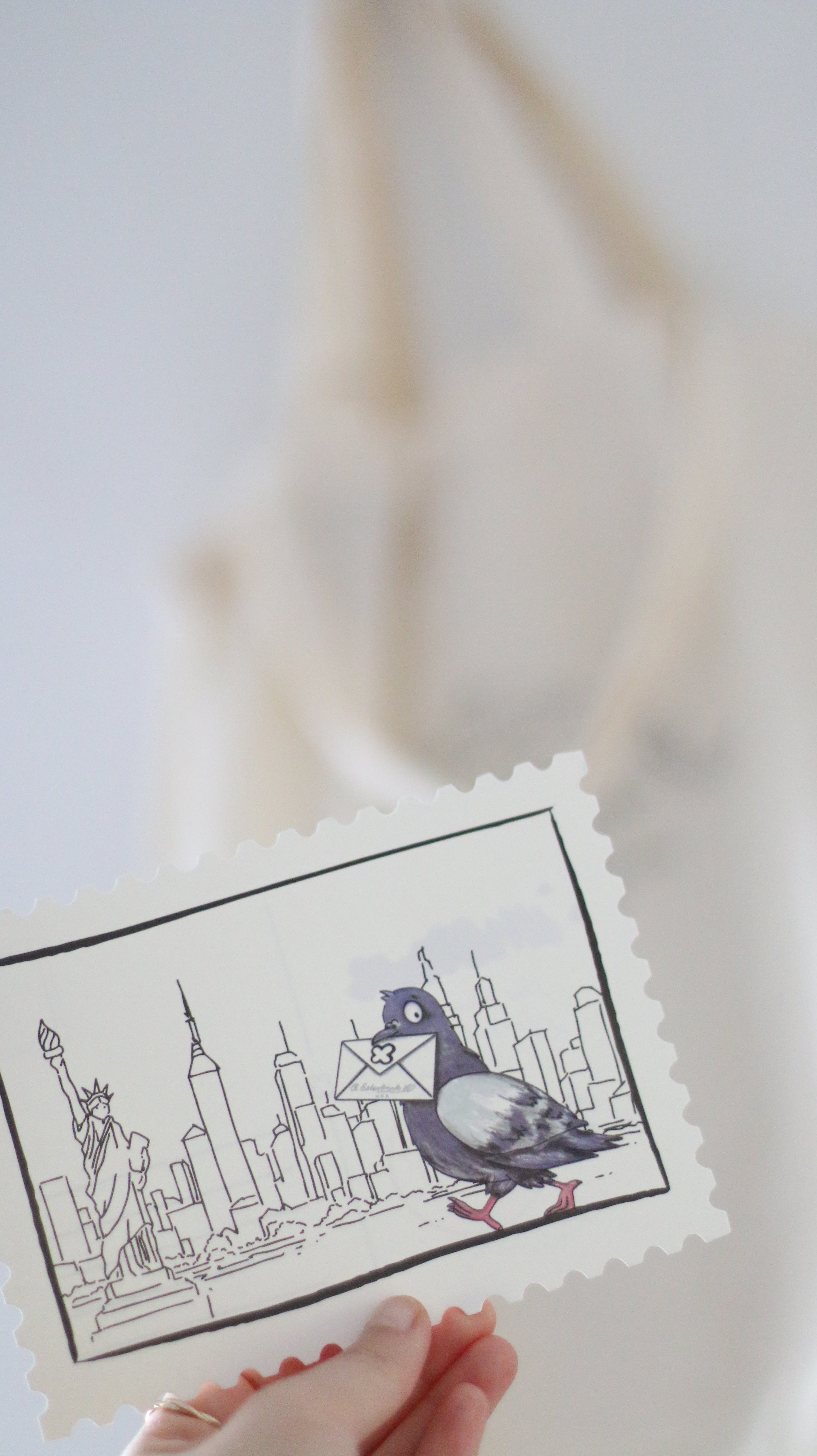 Pigeon Poop Collection