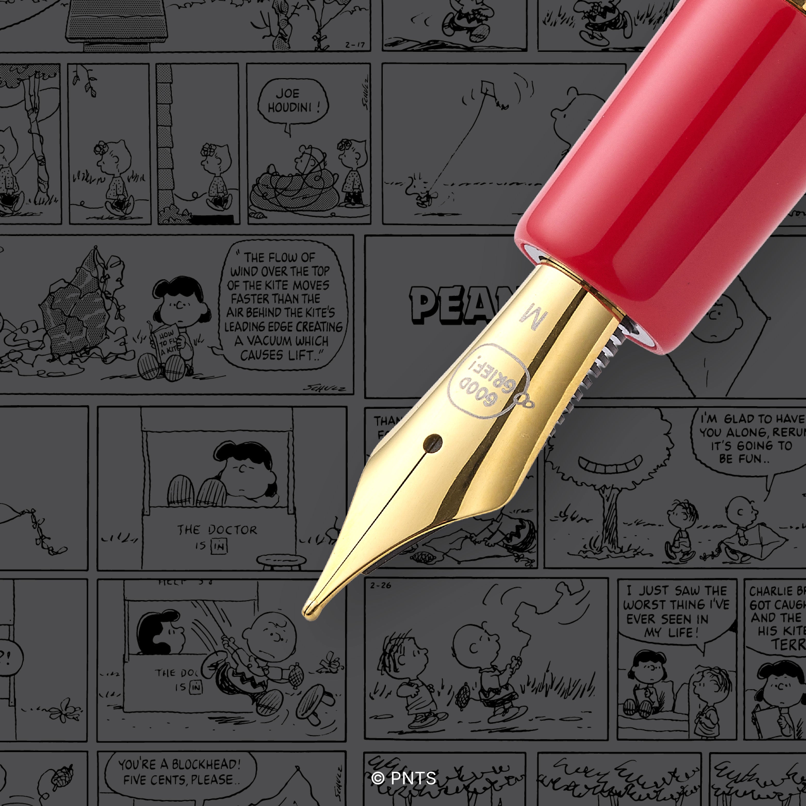 Esterbrook x PEANUTS Snoopy Estie