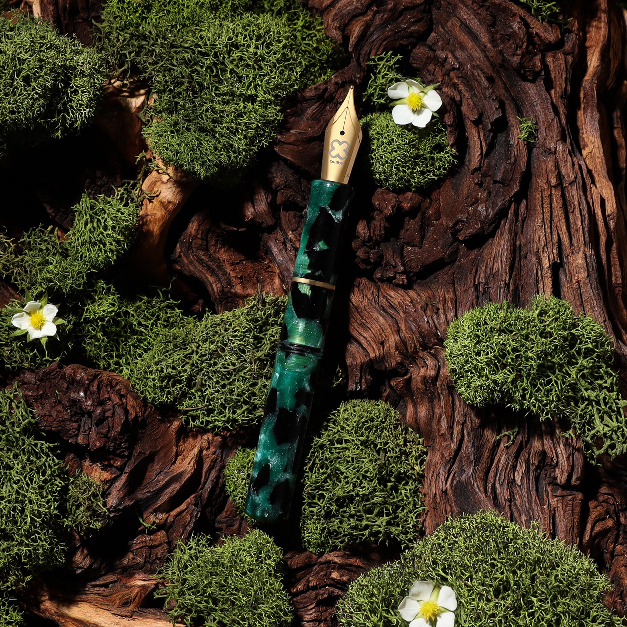 Evergreen Niblet