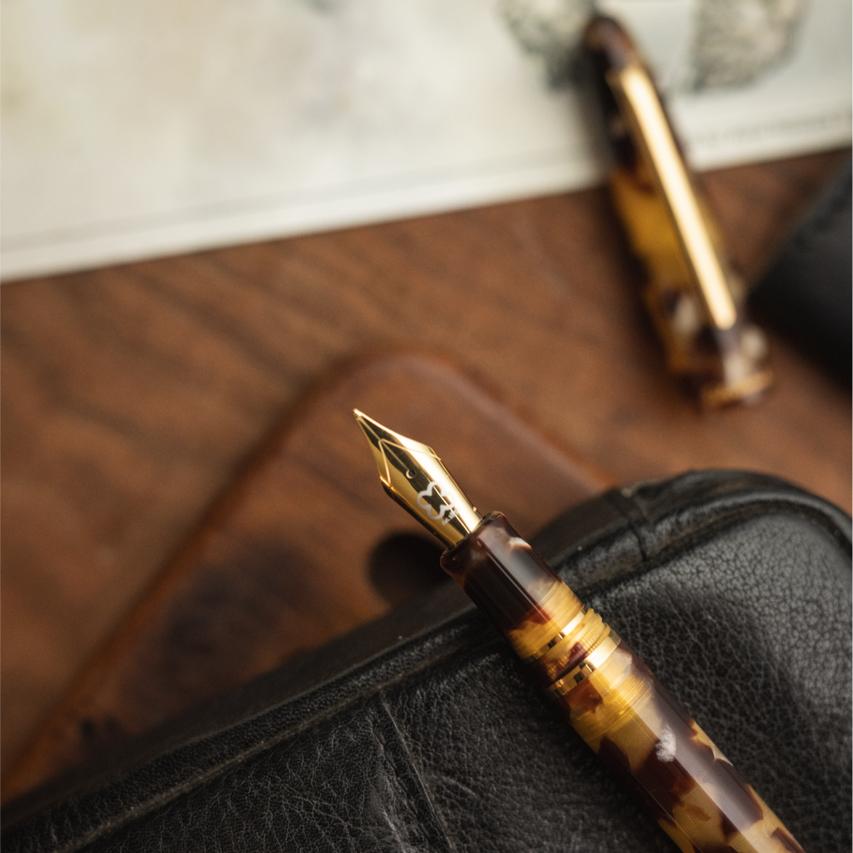 Stylo Plume Esterbrook Estie Tortoise, Résine Noire, Plaqué or, E136 - Iguana Sell FR