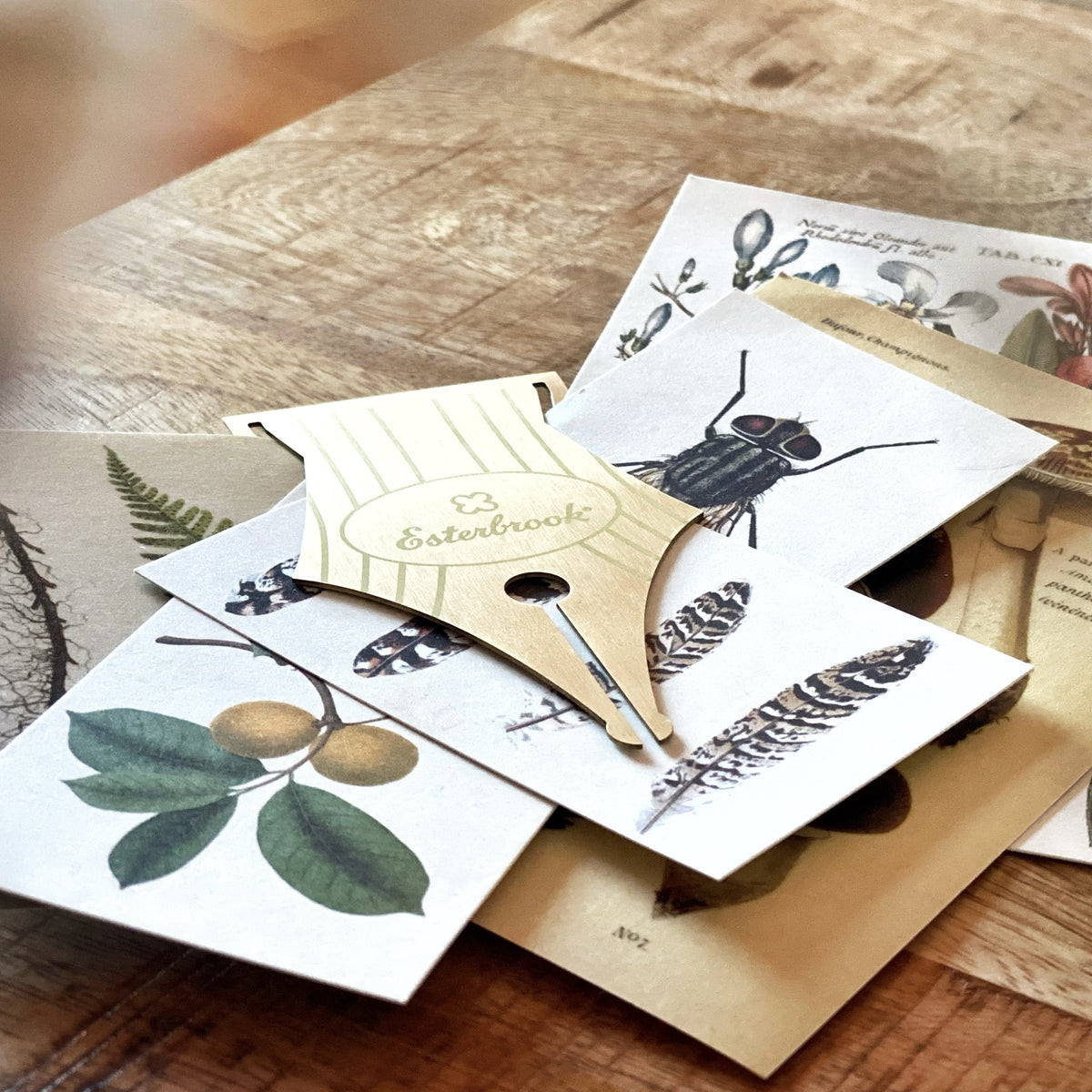 Esterbrook Nib Bookmark – Esterbrook Pens