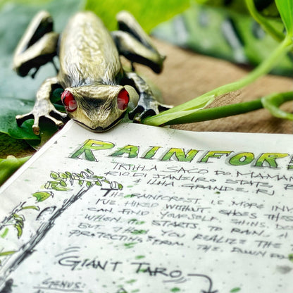 Tree Frog Page Clip